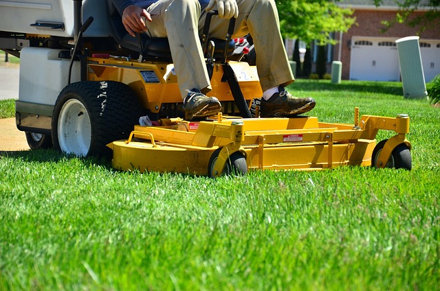Innovative Lawn Care Techniques for Modern Grounds Maintenance